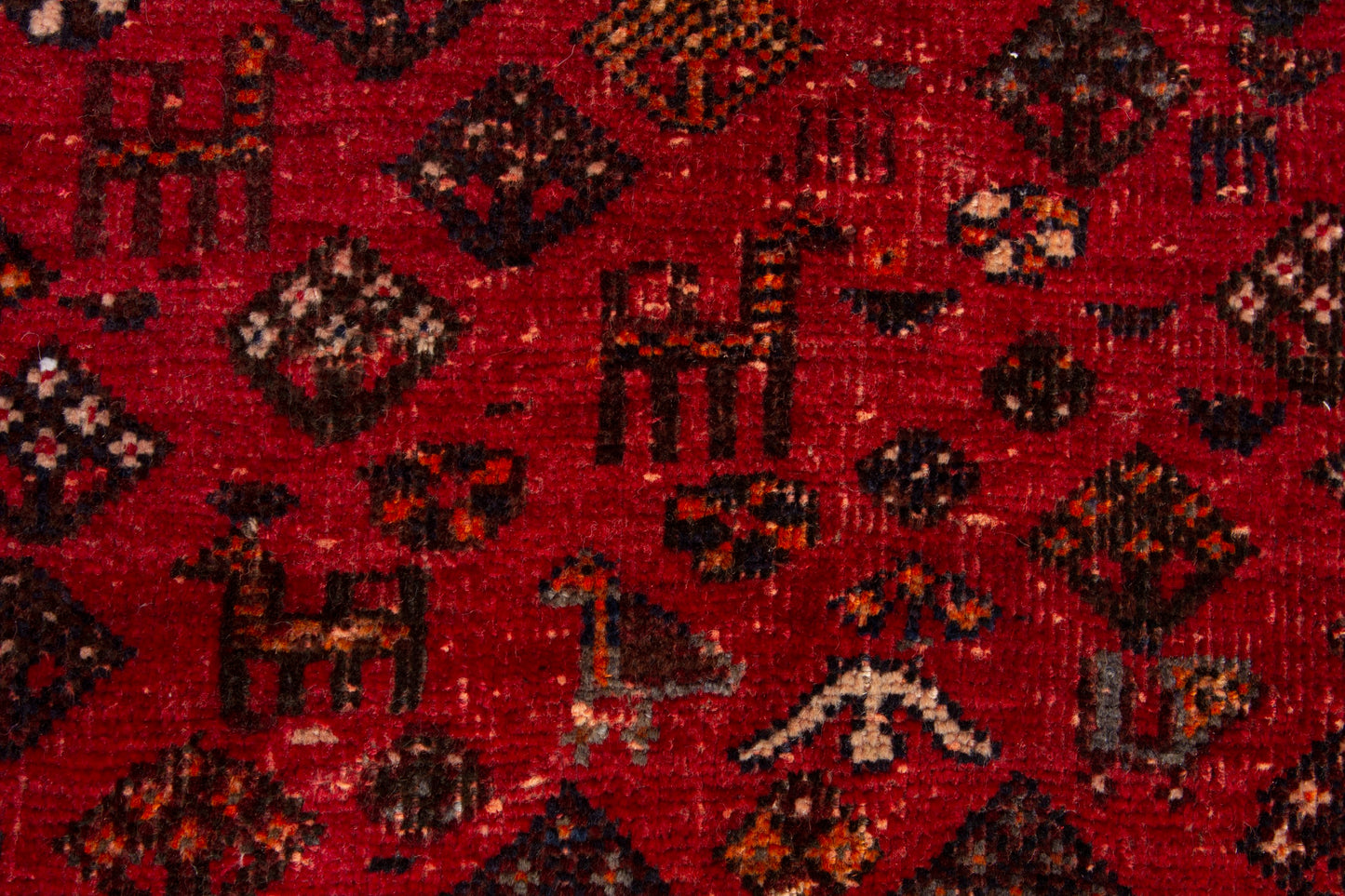 CAN_3942 - 3'8" x 5'3"