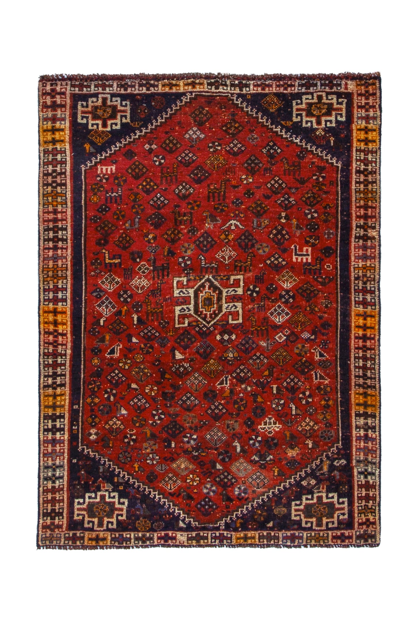 CAN_3942 - 3'8" x 5'3"