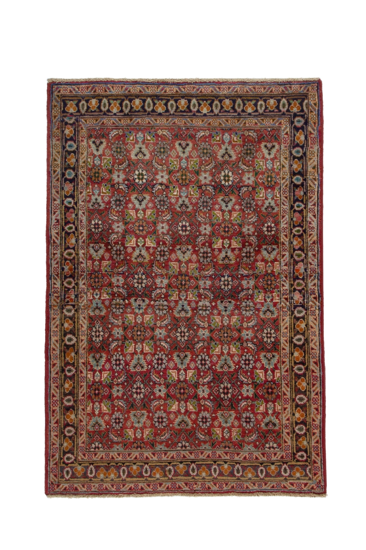 CAN_3964 - 3'6" x 5'2"