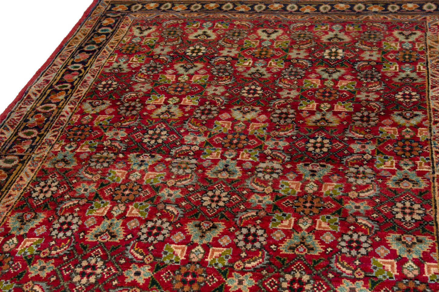 CAN_3964 - 3'6" x 5'2"