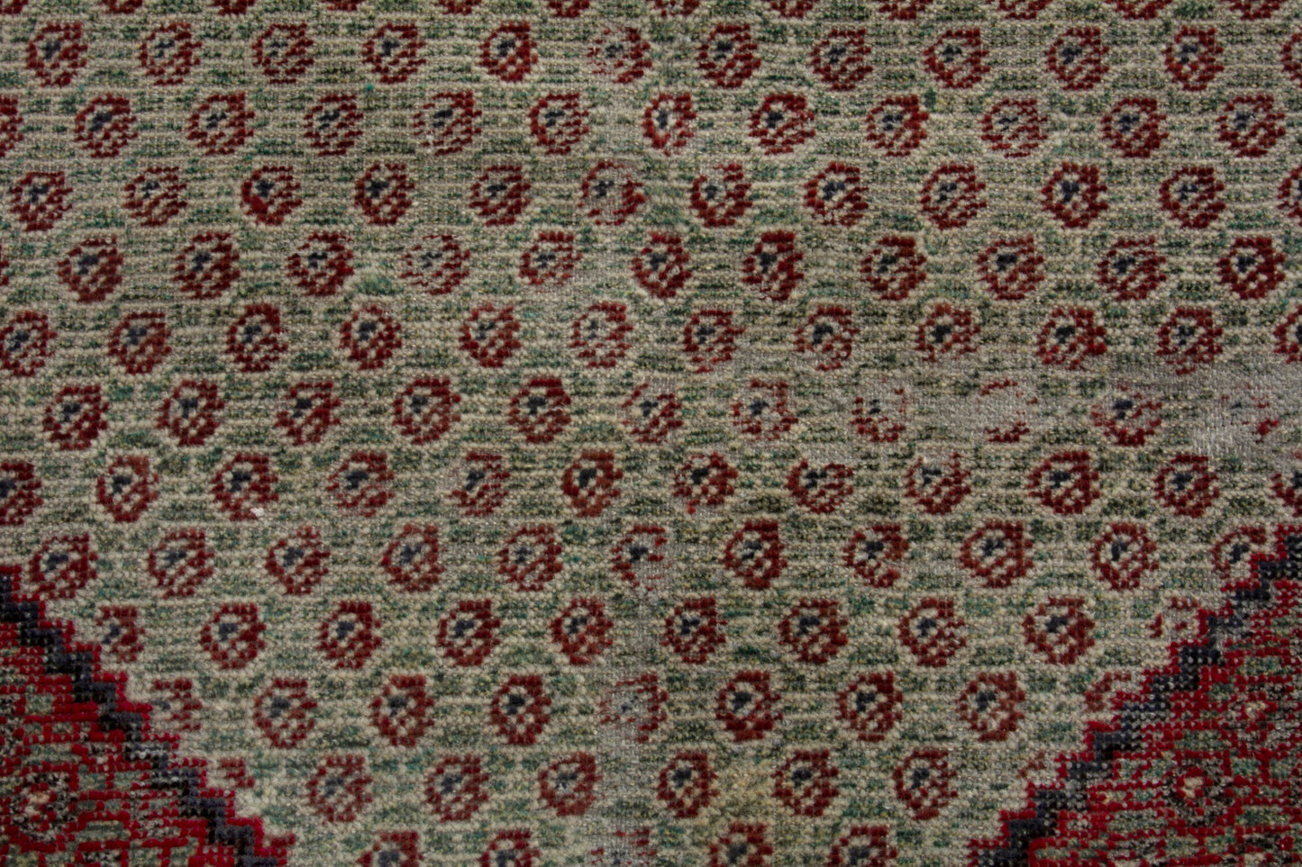 CAN_3969 - 3'7" x 6'4"