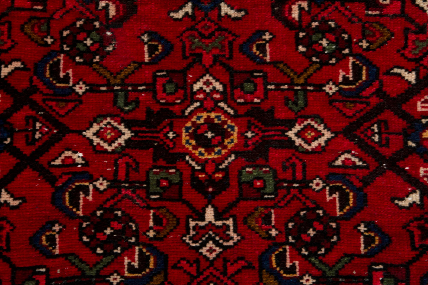 CAN_3982 - 3'7" x 5'5"