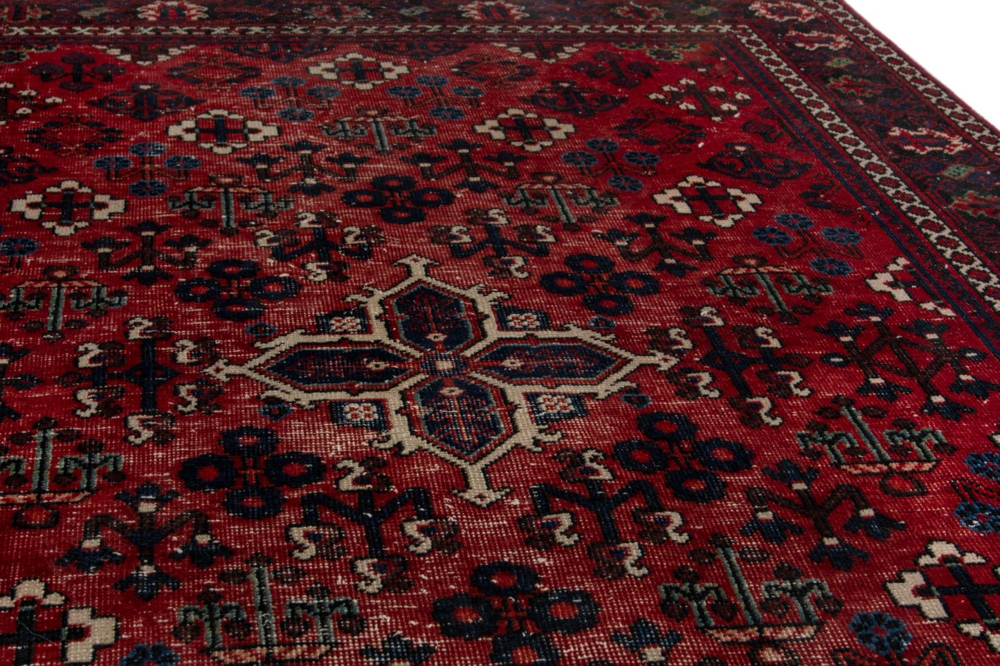 CAN_3988 - 4'3" x 6'8"