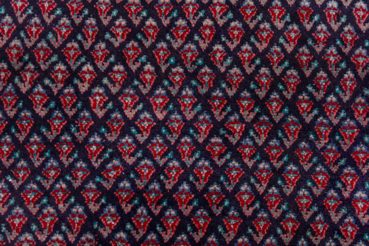 CAN_3991 - 3'6" x 5'4"