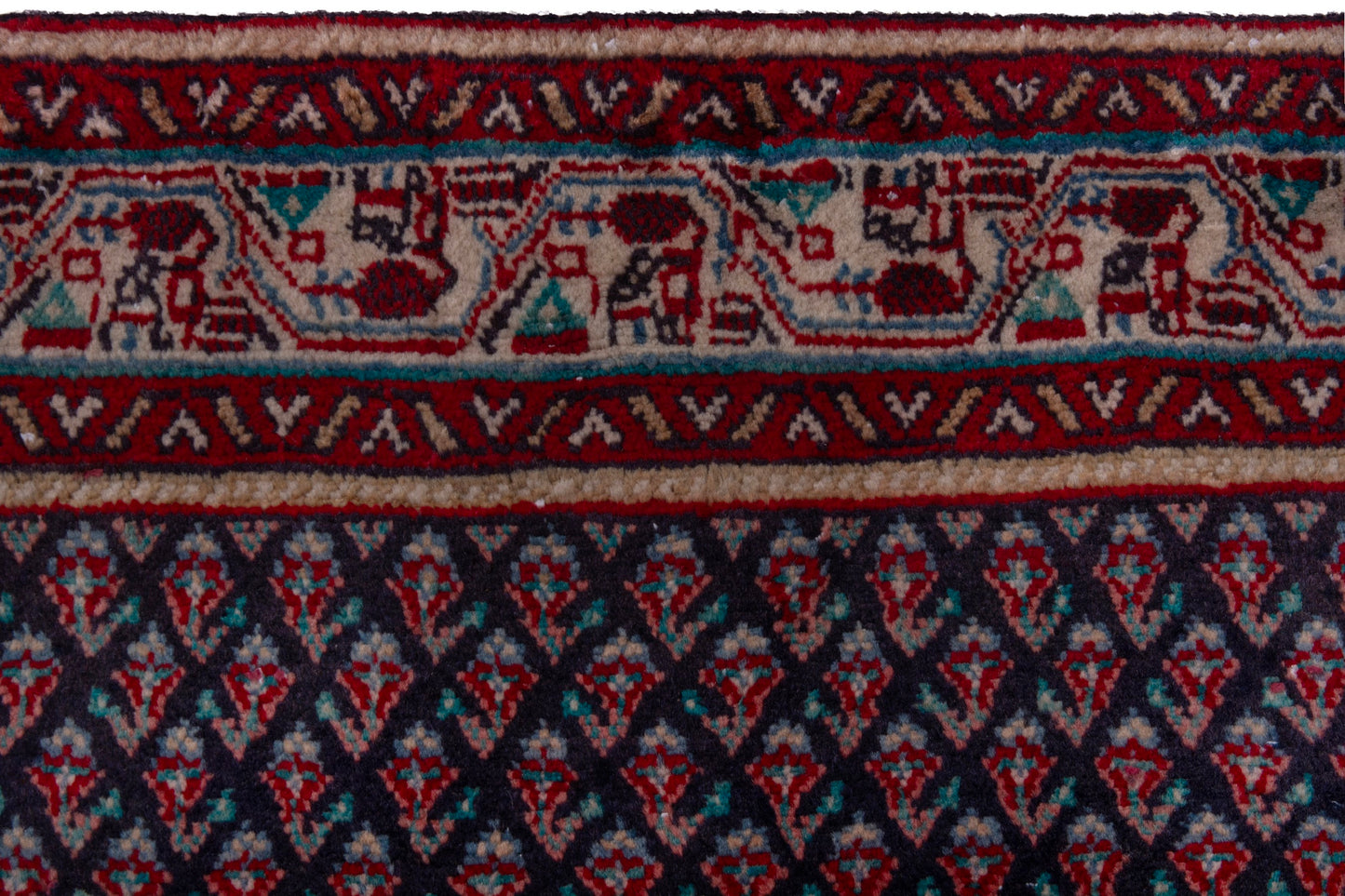 CAN_3991 - 3'6" x 5'4"