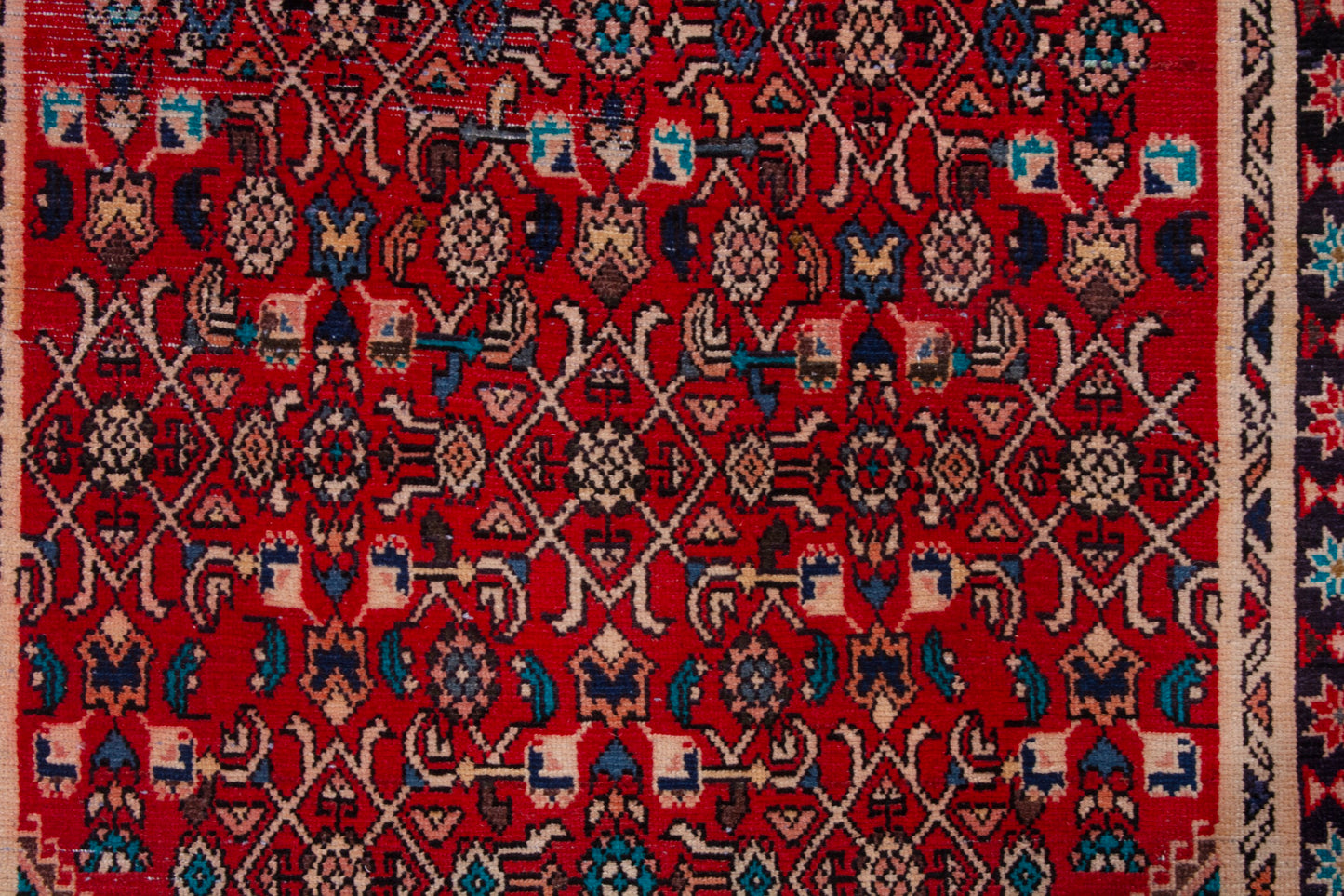 CAN_3995 - 3'5" x 8'6"
