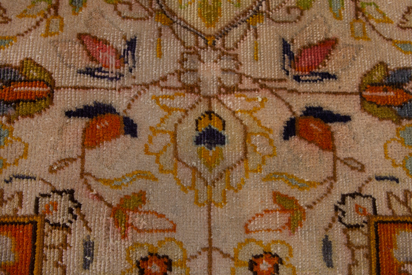 CAN_3996 - 3'5" x 4'10"