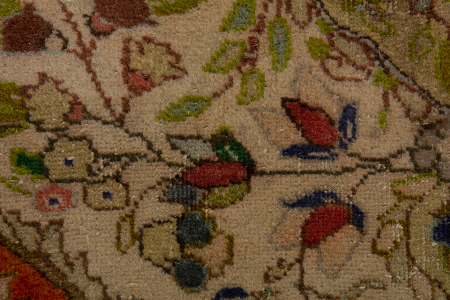 CAN_4012 - 3'1" x 5'