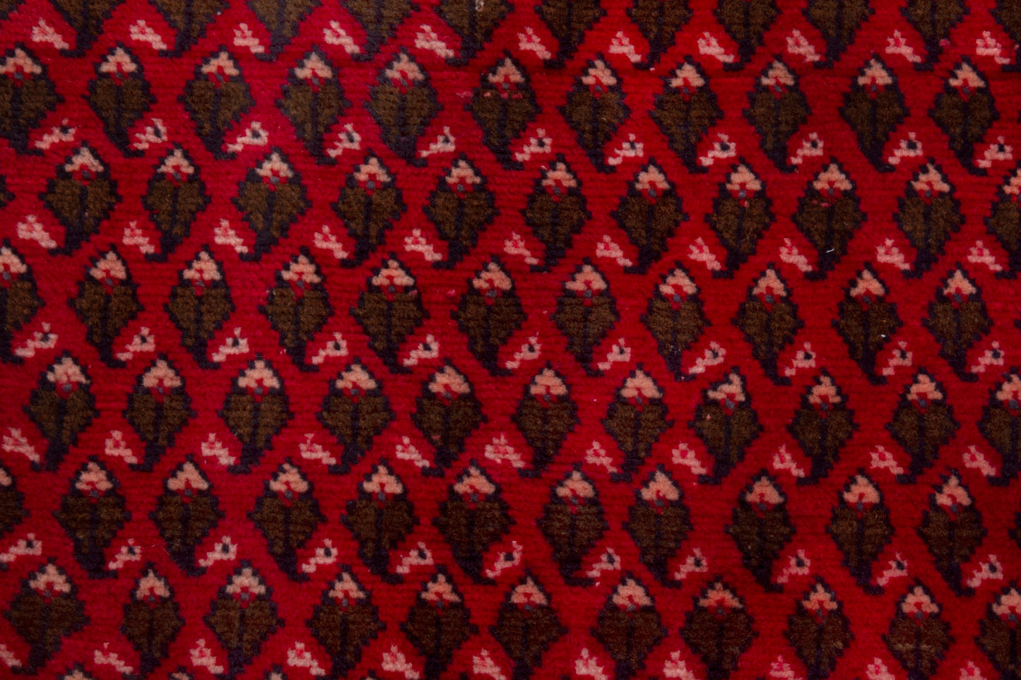 CAN_4019 - 3'3" x 4'11"