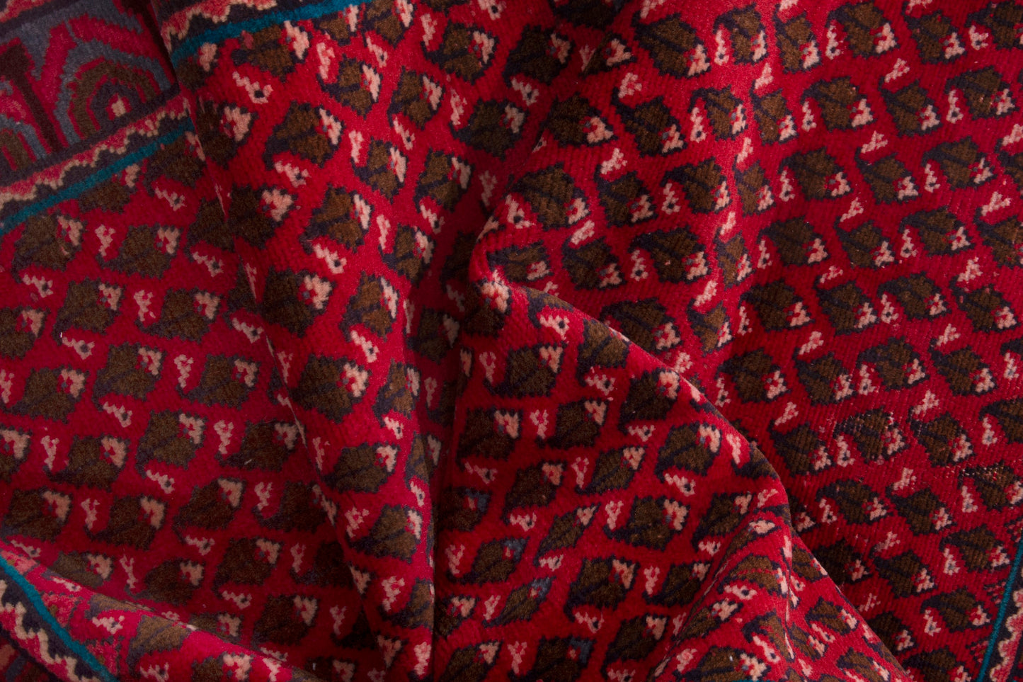 CAN_4019 - 3'3" x 4'11"