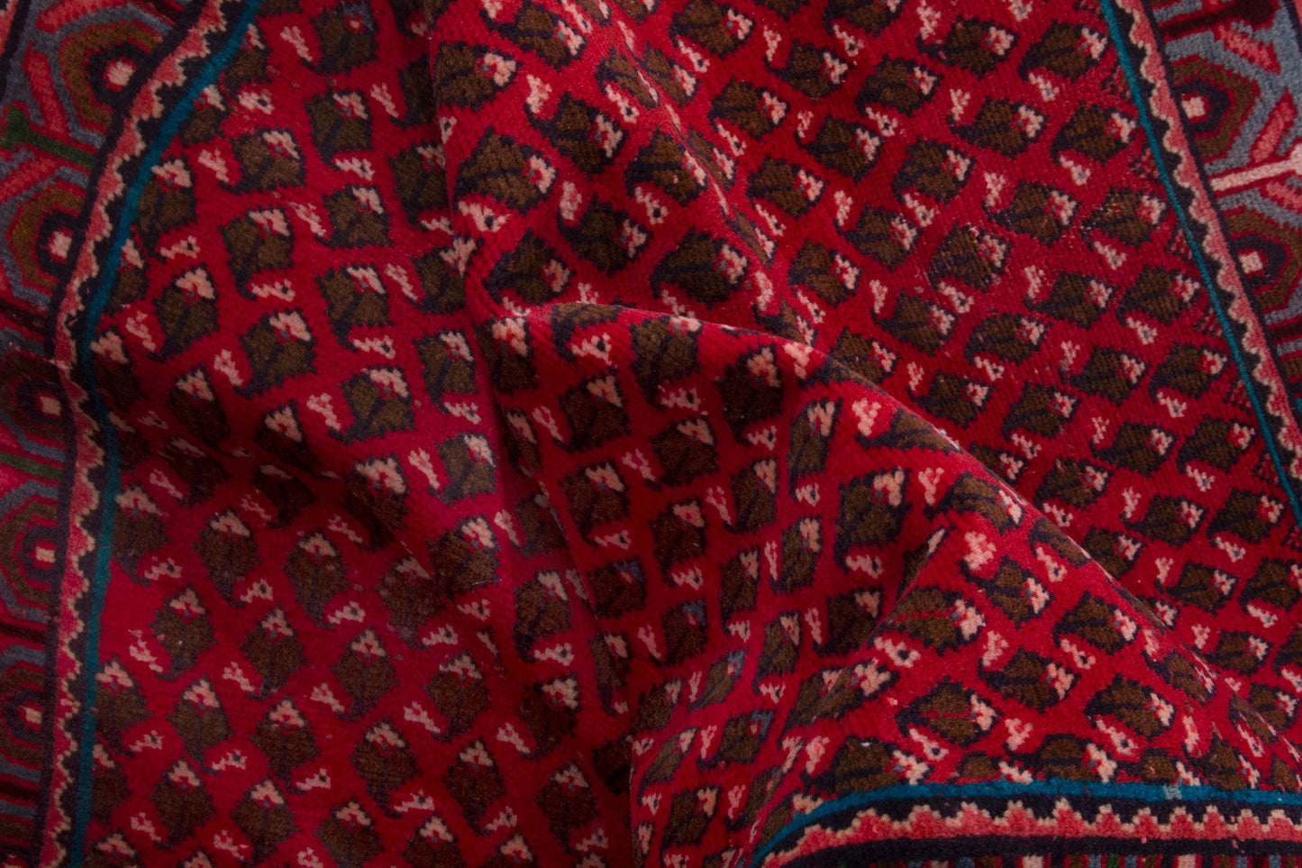 CAN_4019 - 3'3" x 4'11"