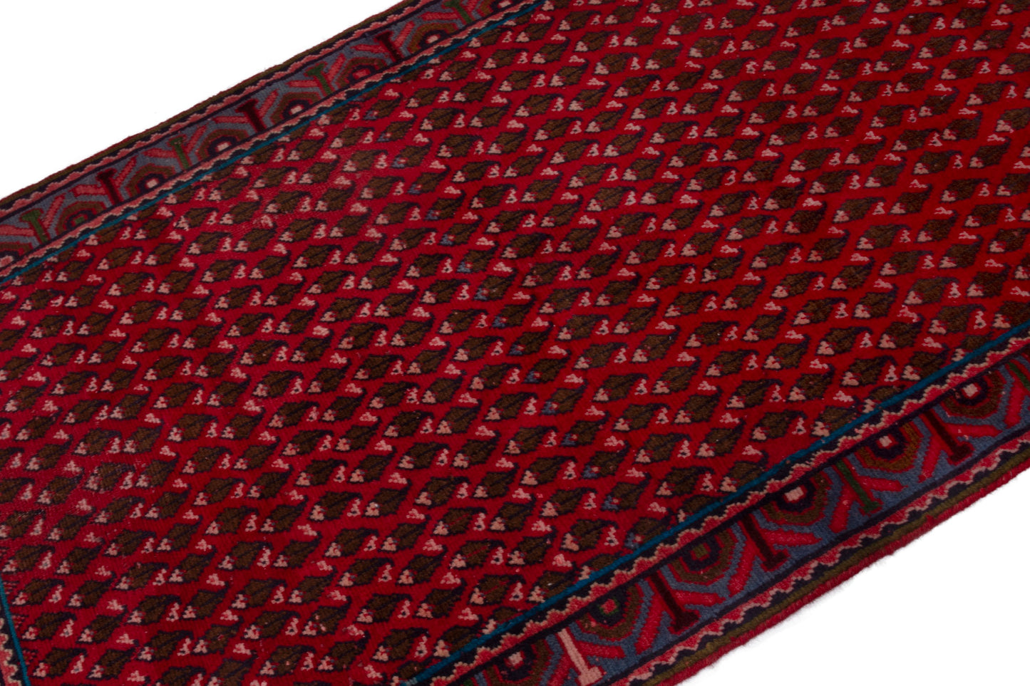 CAN_4019 - 3'3" x 4'11"