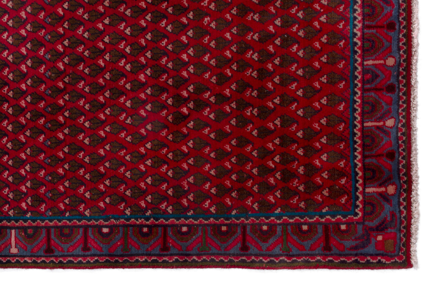 CAN_4019 - 3'3" x 4'11"