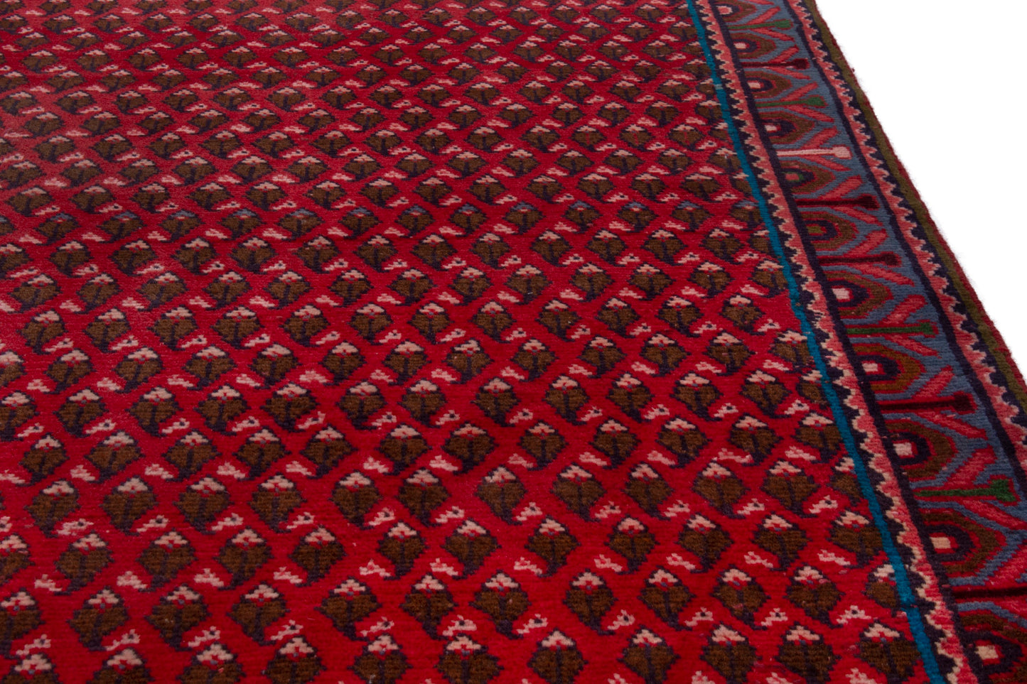 CAN_4019 - 3'3" x 4'11"
