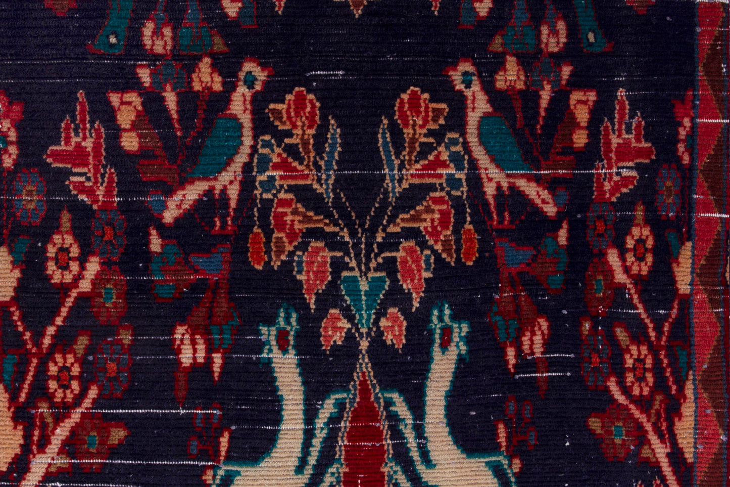 CAN_4024 - 3'4" x 9'5"