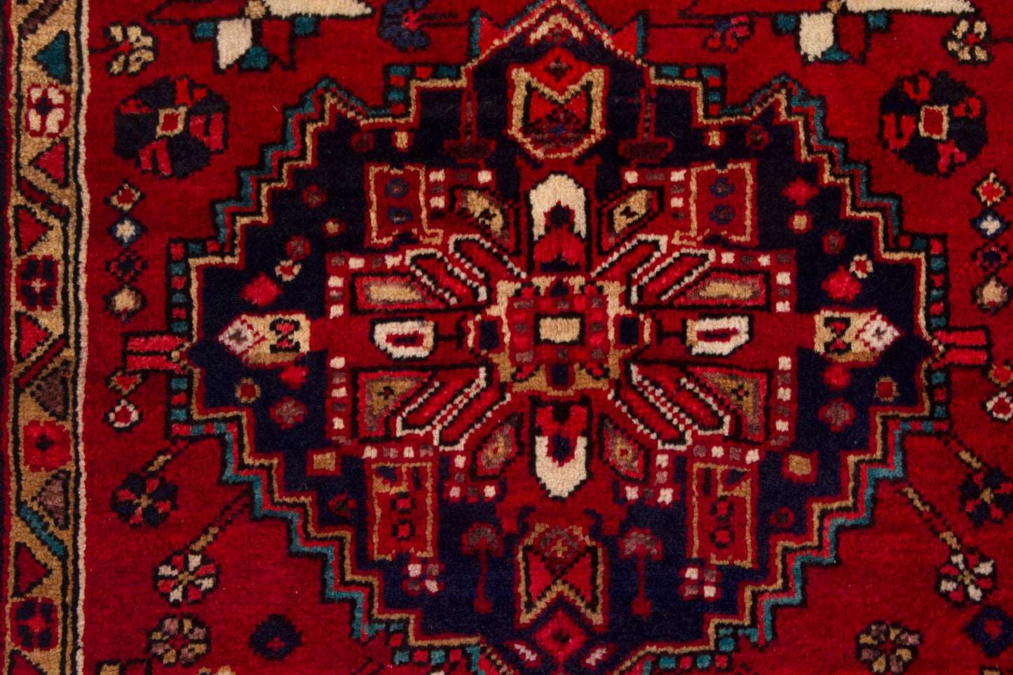 CAN_4025 - 3'4" x 10'3"