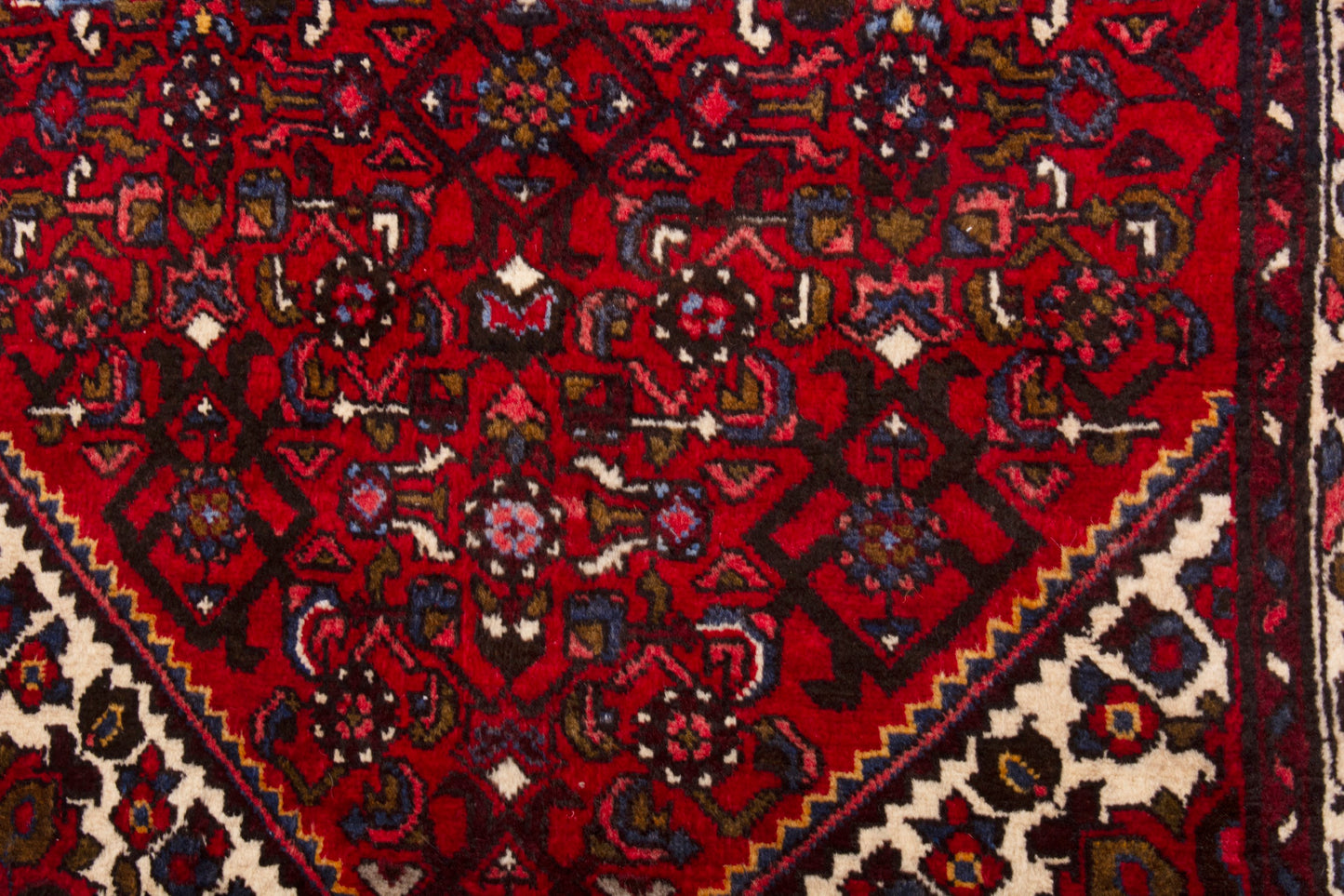 CAN_4027 - 3'6" x 9'9"