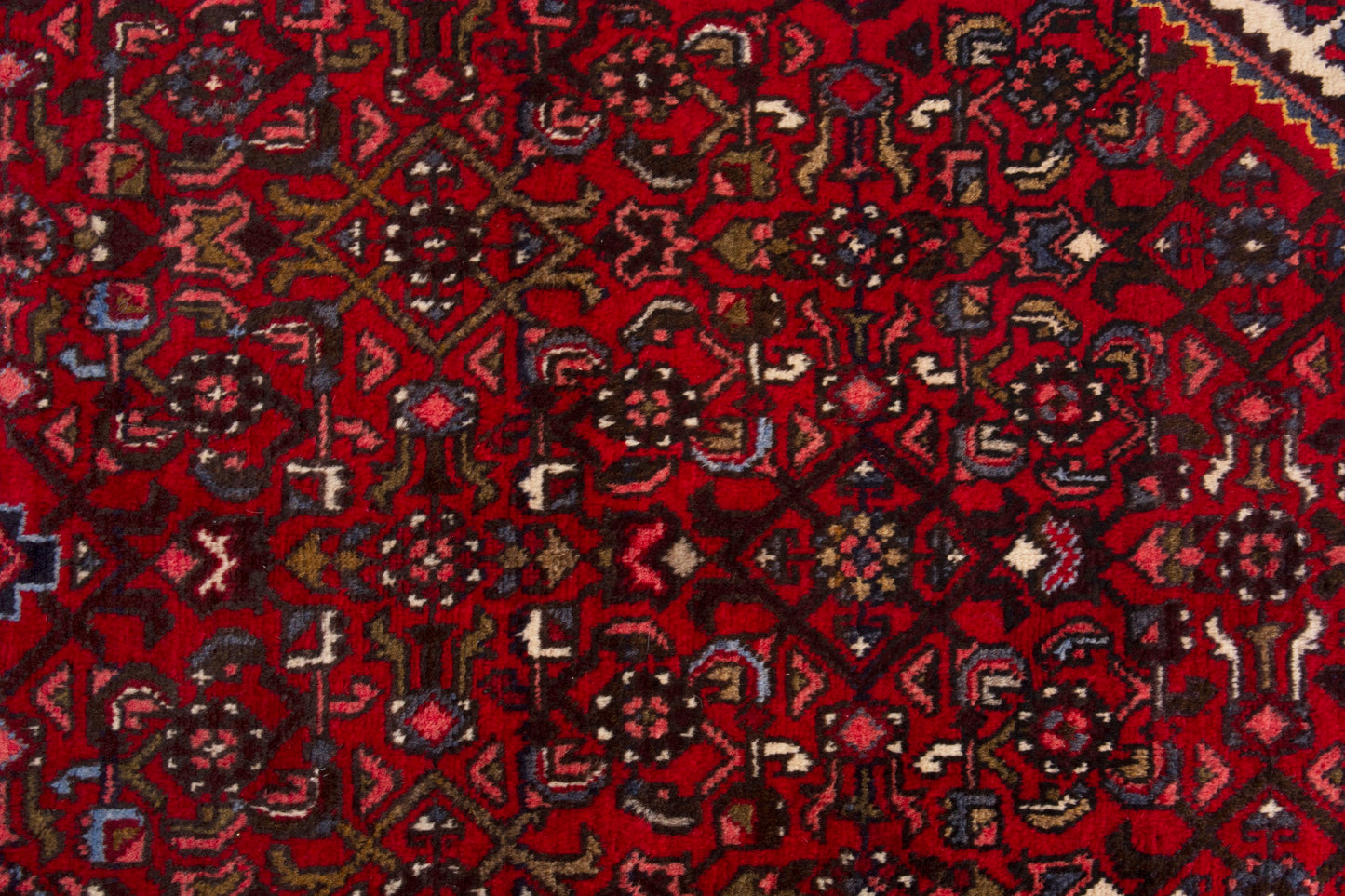 CAN_4027 - 3'6" x 9'9"
