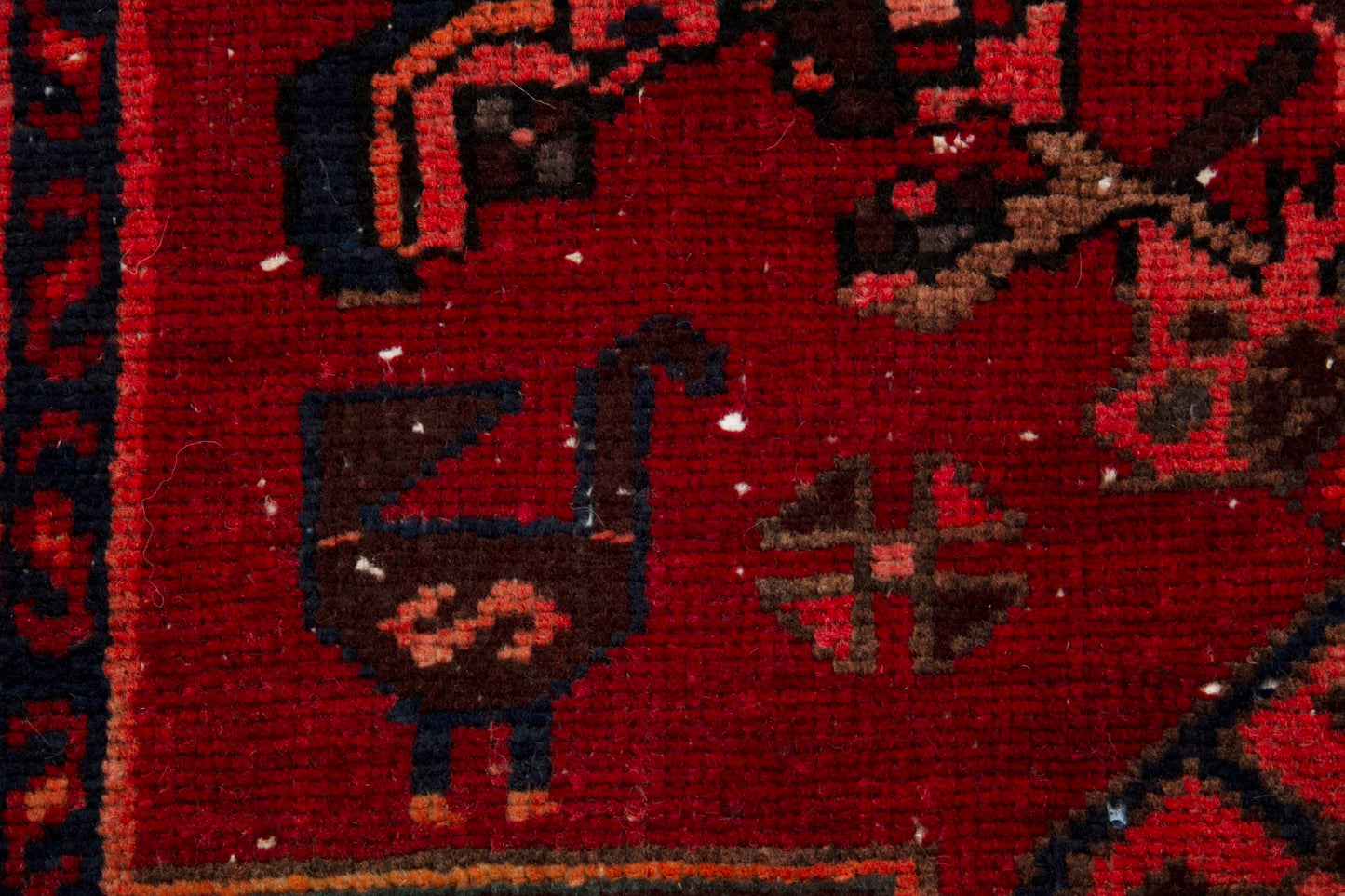 CAN_4029 - 3'6" x 10'