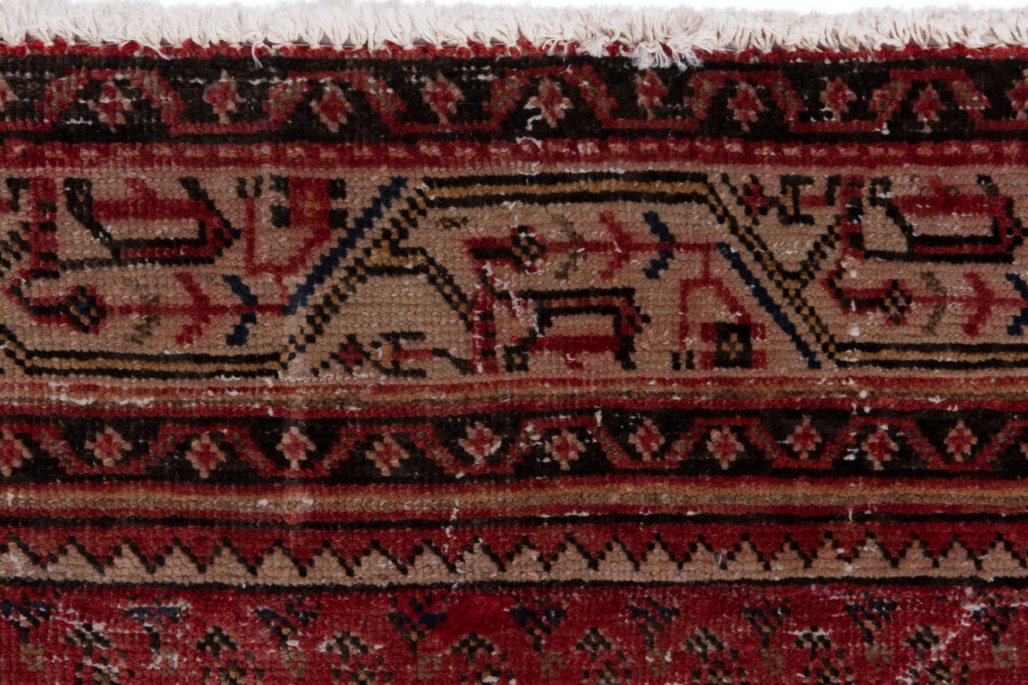 CAN_4037 - 3'8" x 9'7"
