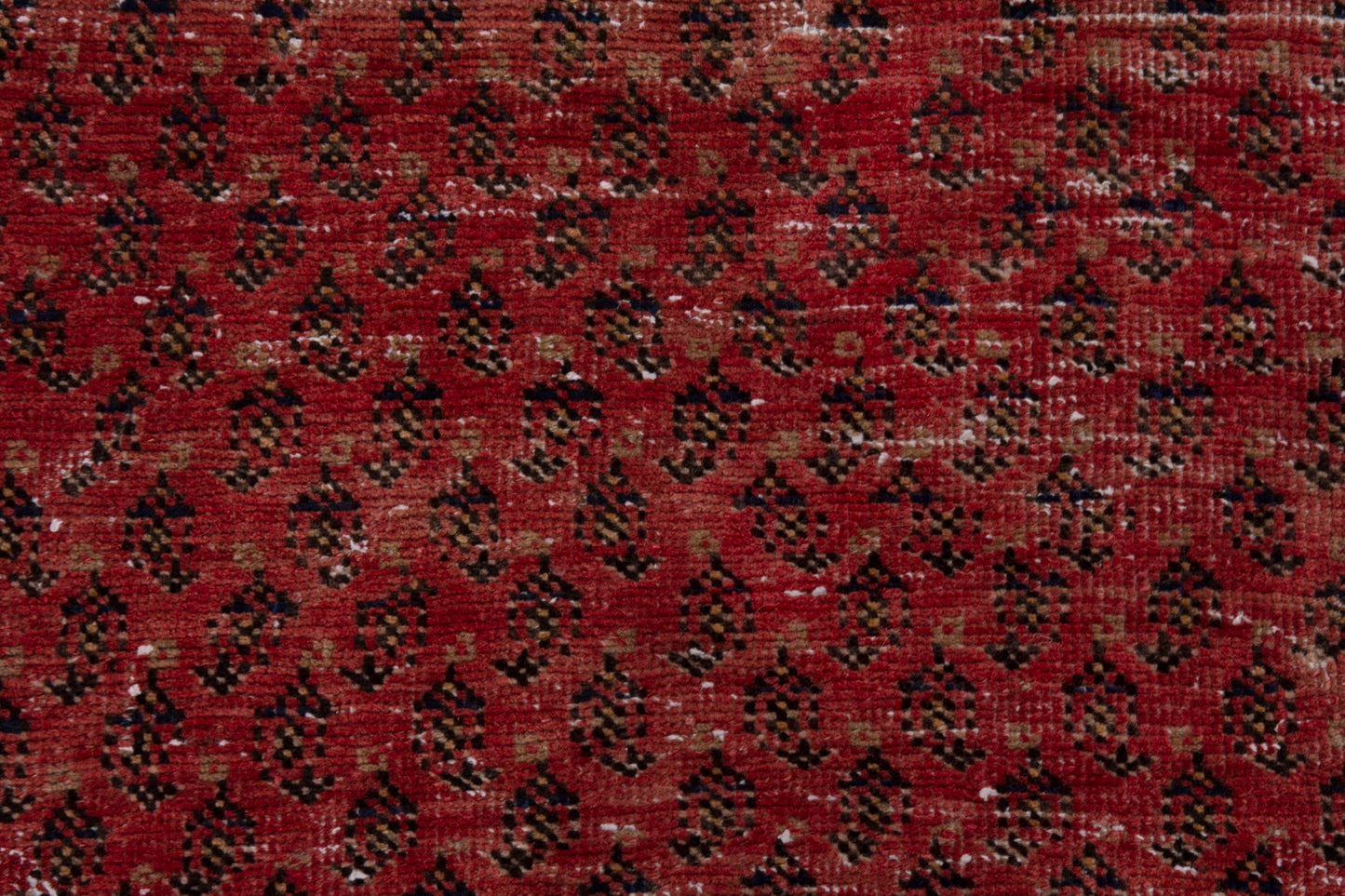 CAN_4037 - 3'8" x 9'7"