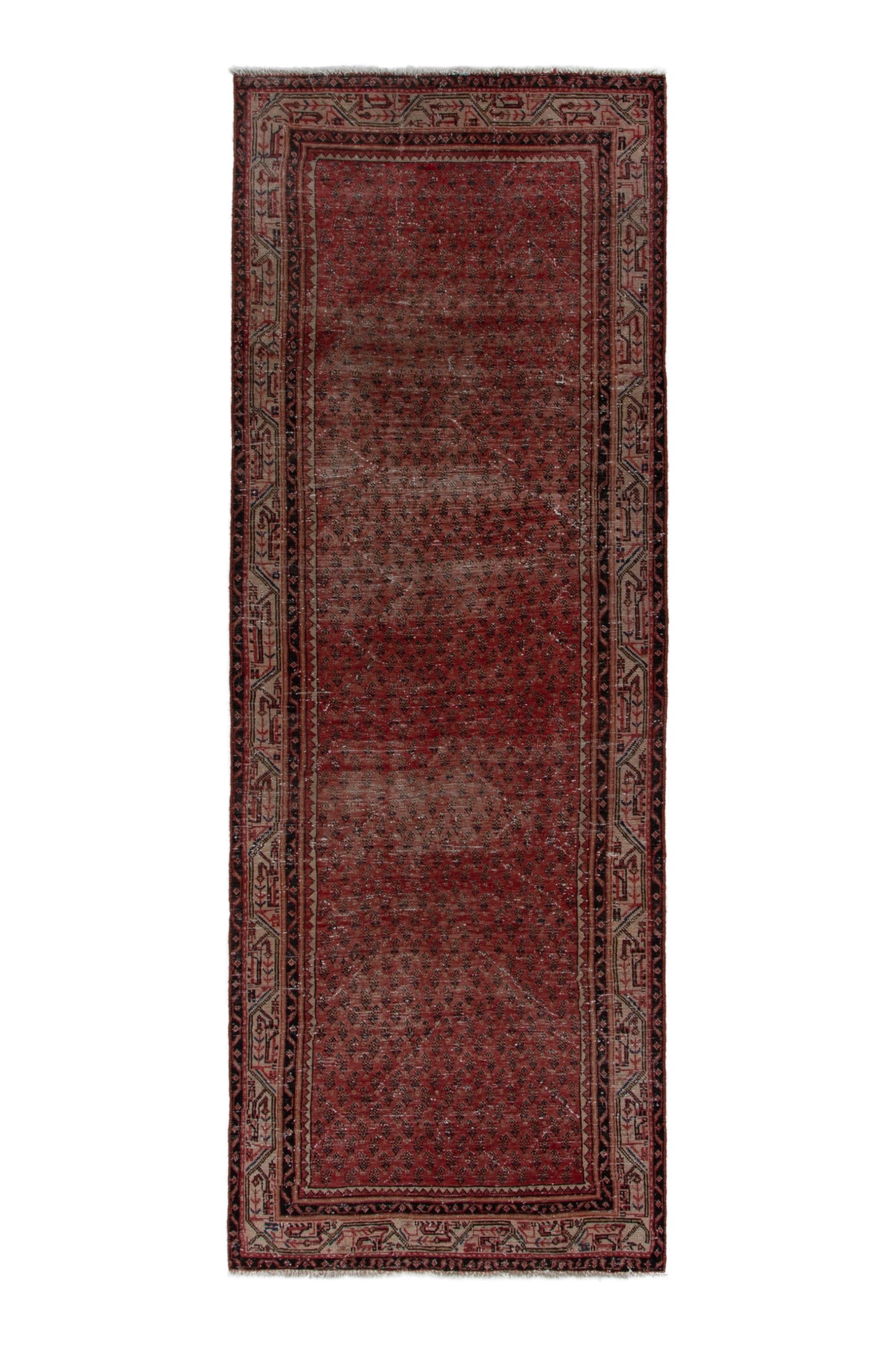 CAN_4037 - 3'8" x 9'7"