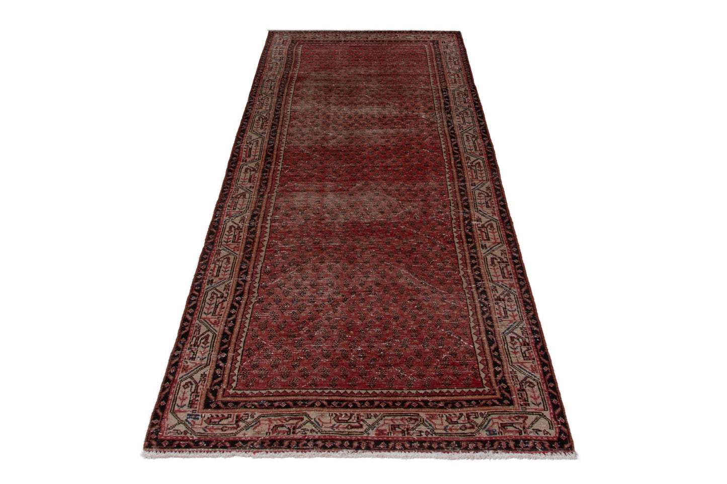 CAN_4037 - 3'8" x 9'7"