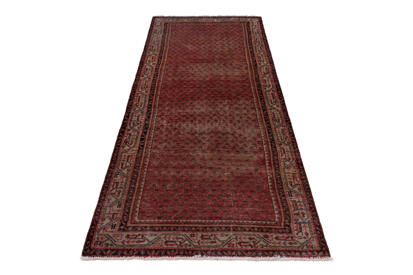 CAN_4037 - 3'8" x 9'7"