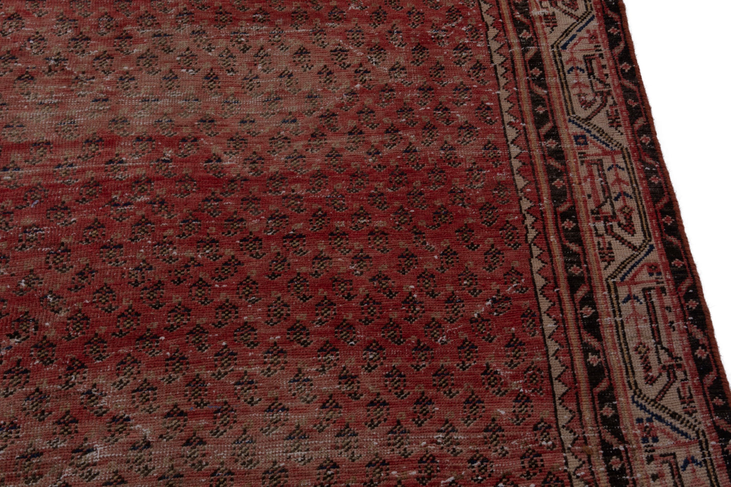 CAN_4037 - 3'8" x 9'7"