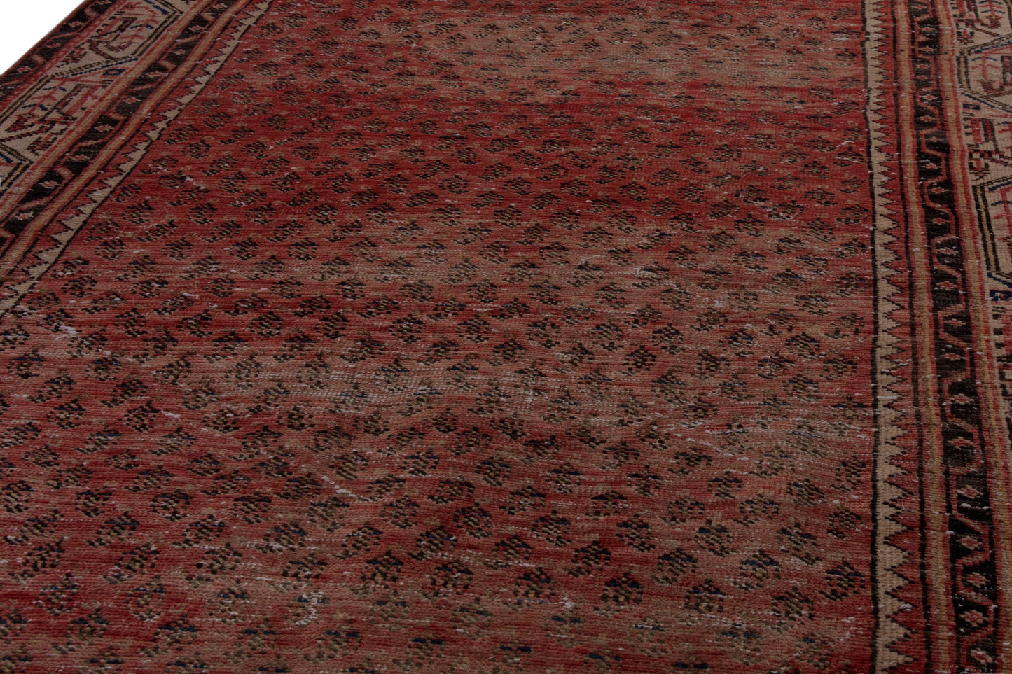 CAN_4037 - 3'8" x 9'7"