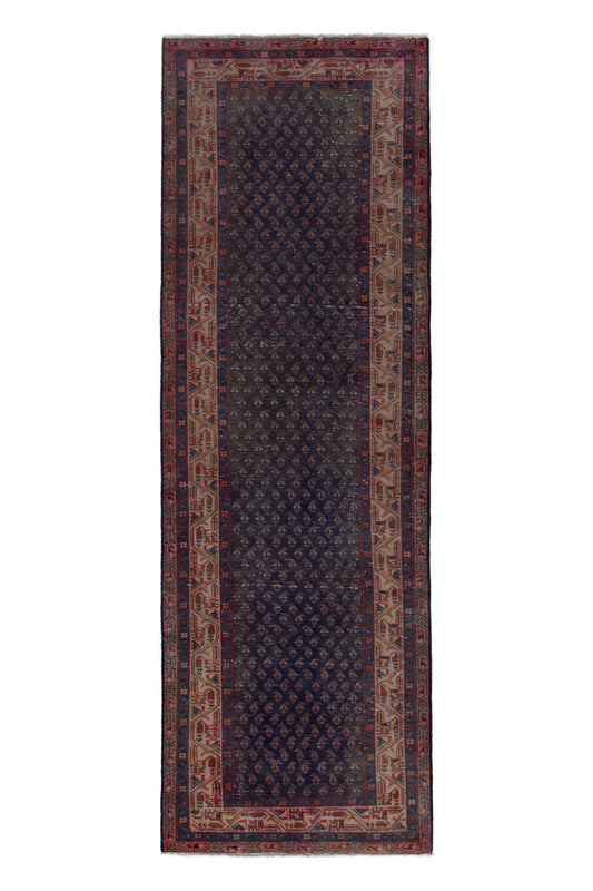 CAN_4040 - 3'3" x 10'