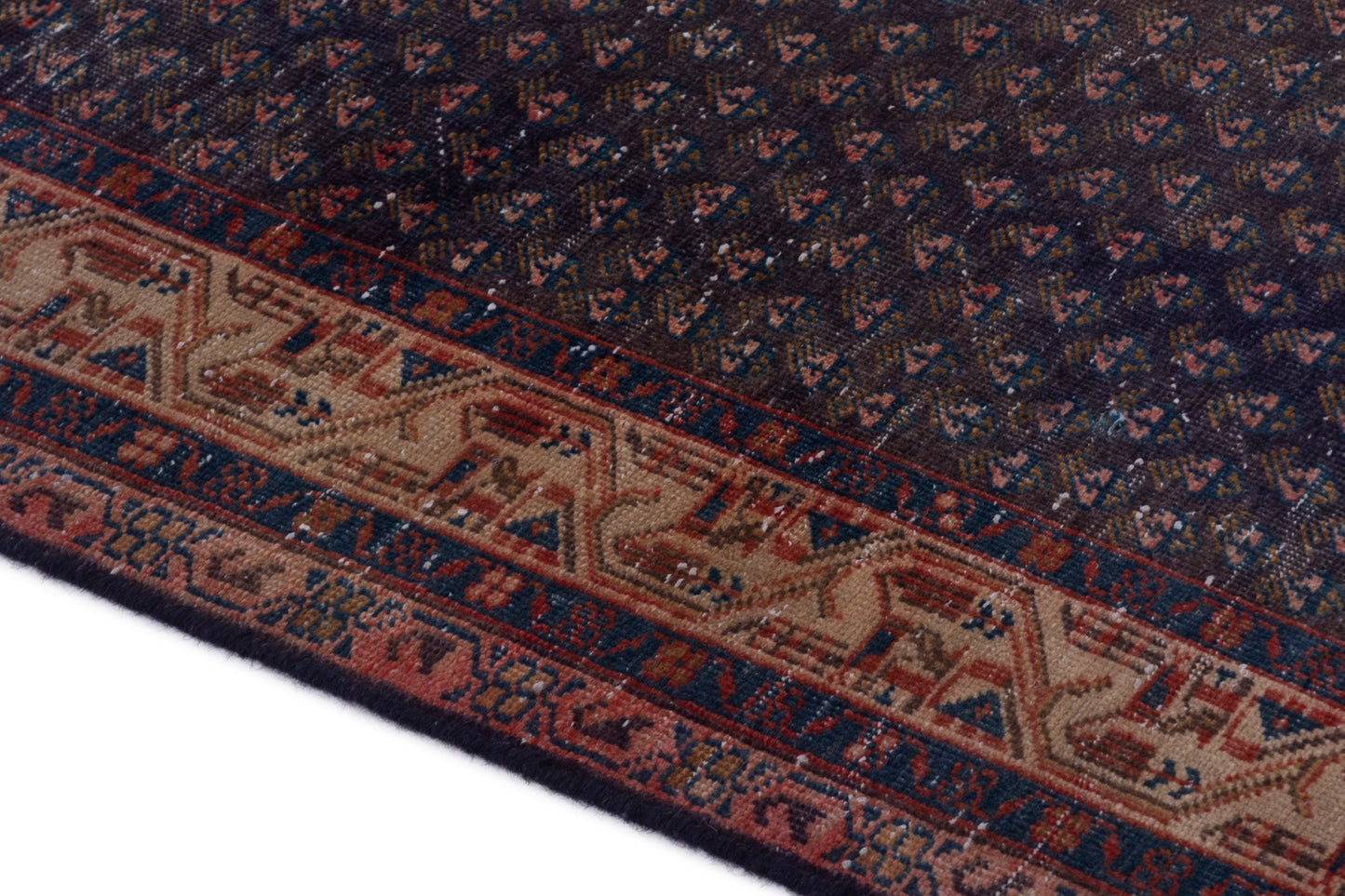 CAN_4040 - 3'3" x 10'