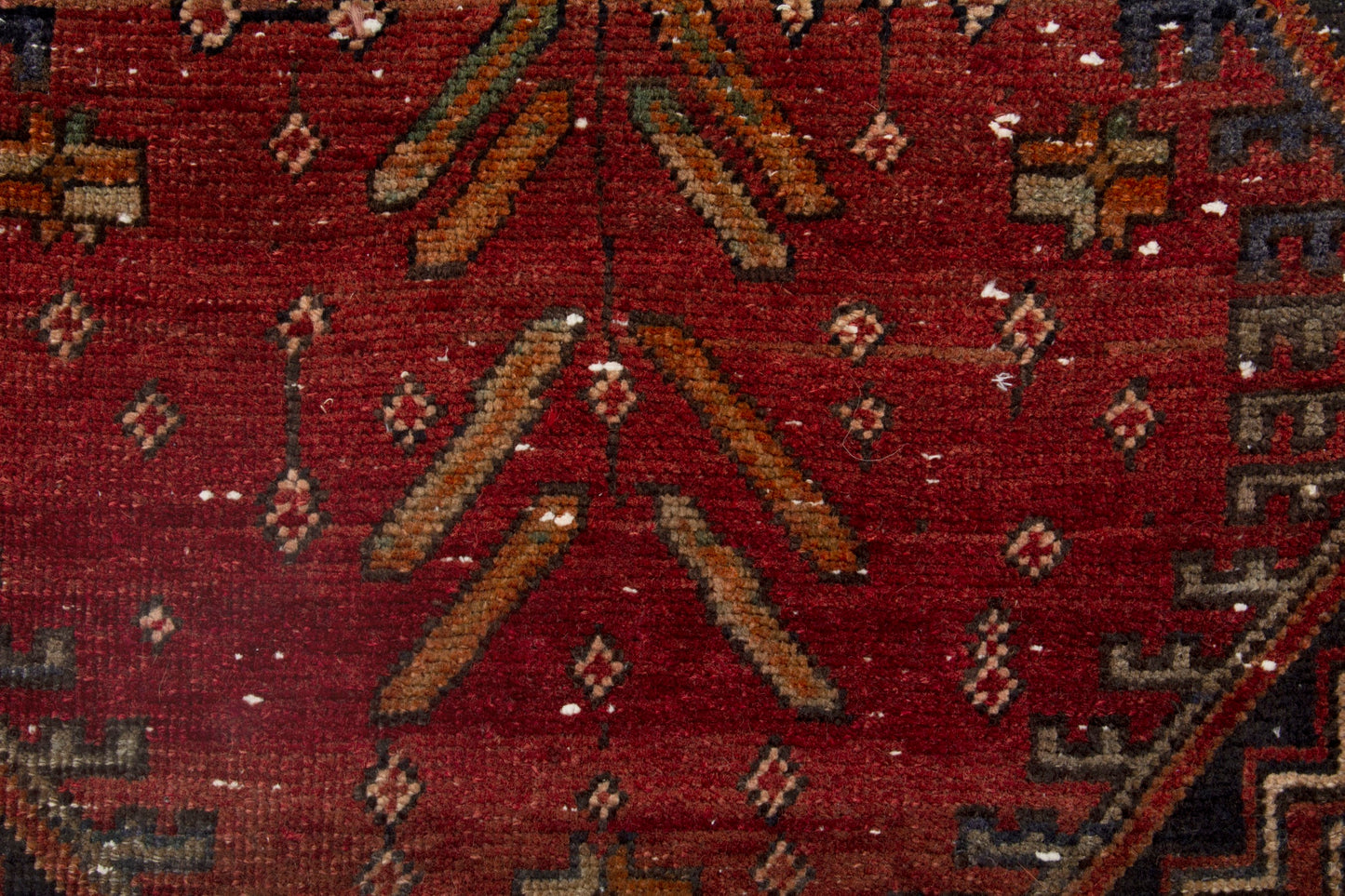 CAN_4043 - 3'7" x 12'4"
