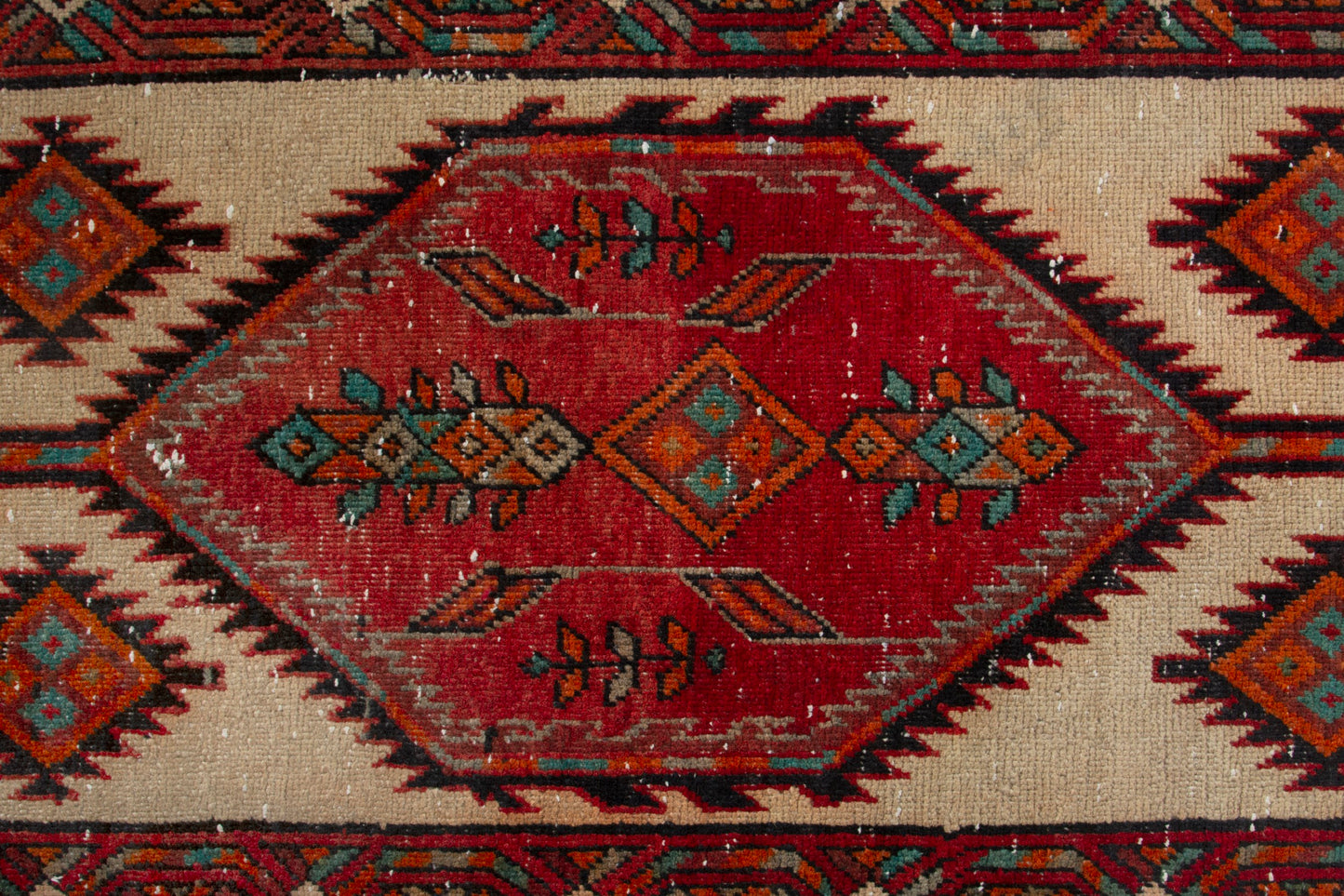 CAN_4046 - 3'3" x 13'7"