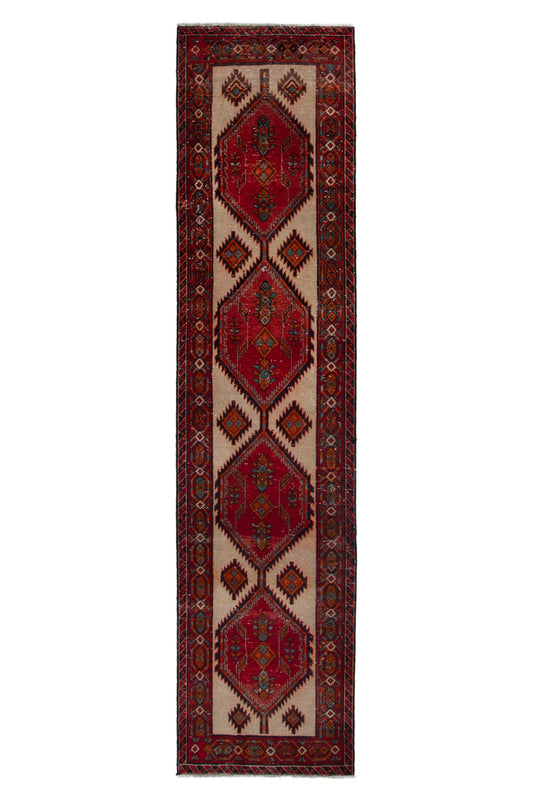 CAN_4046 - 3'3" x 13'7"
