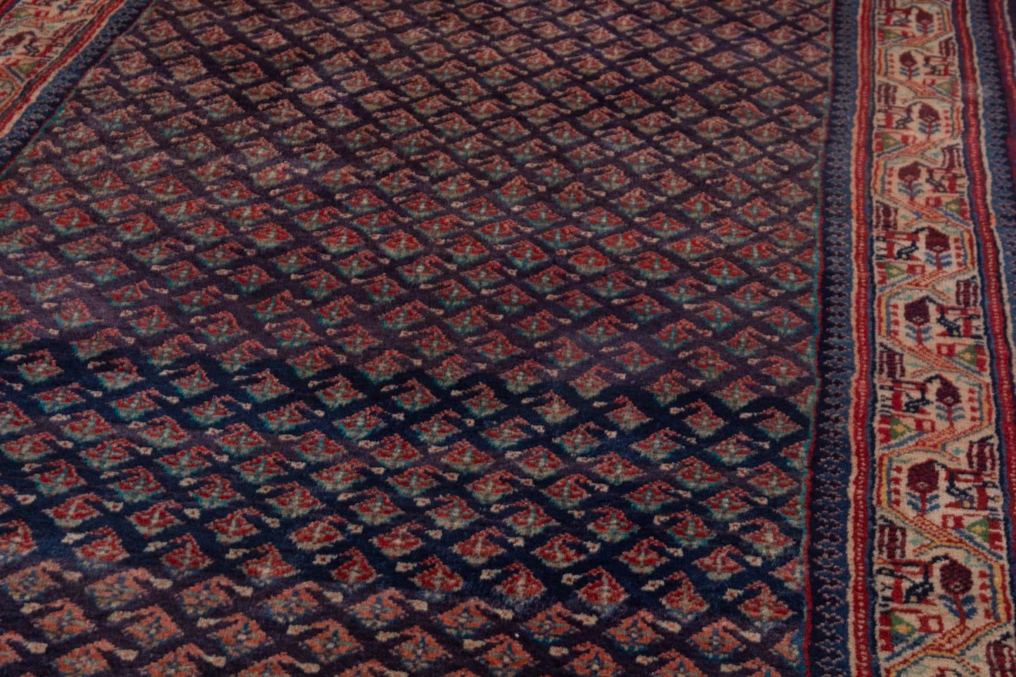 CAN_4060 - 3'10" x 11'2"