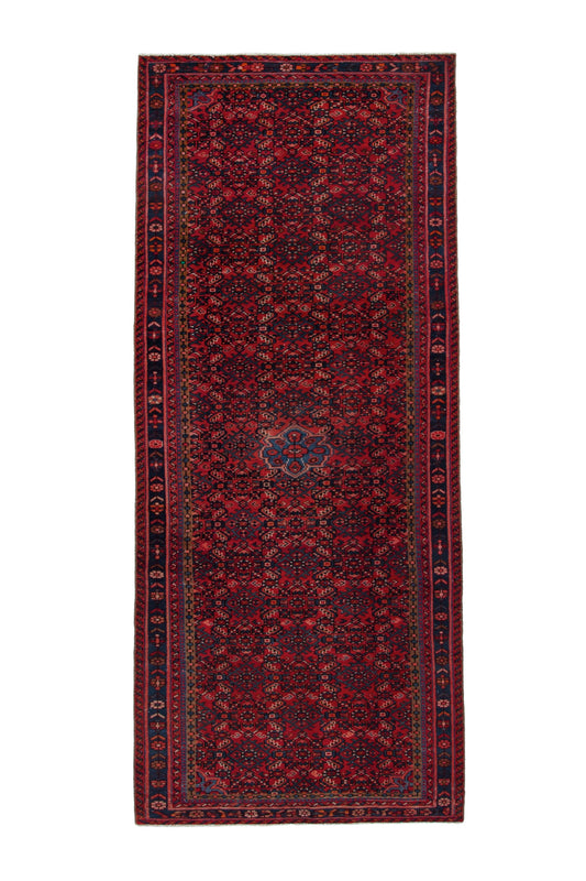 CAN_4066 - 4'1" x 13'
