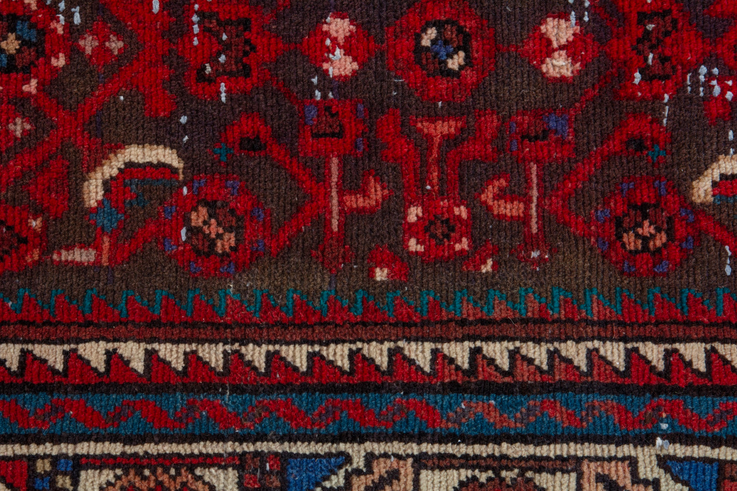 CAN_4073 - 3'5" x 10'