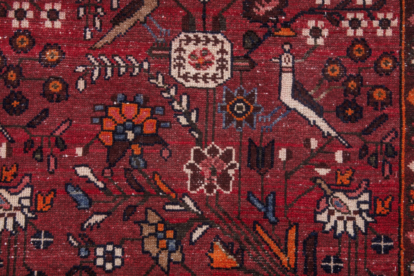 CAN_4075 - 3'7" x 9'10"