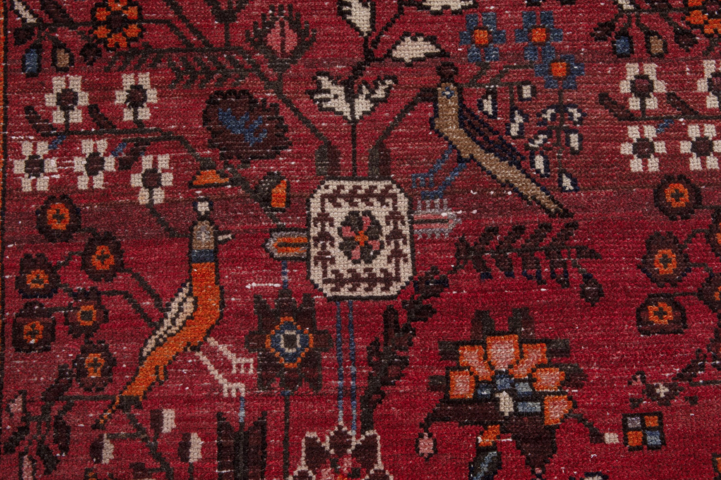 CAN_4075 - 3'7" x 9'10"