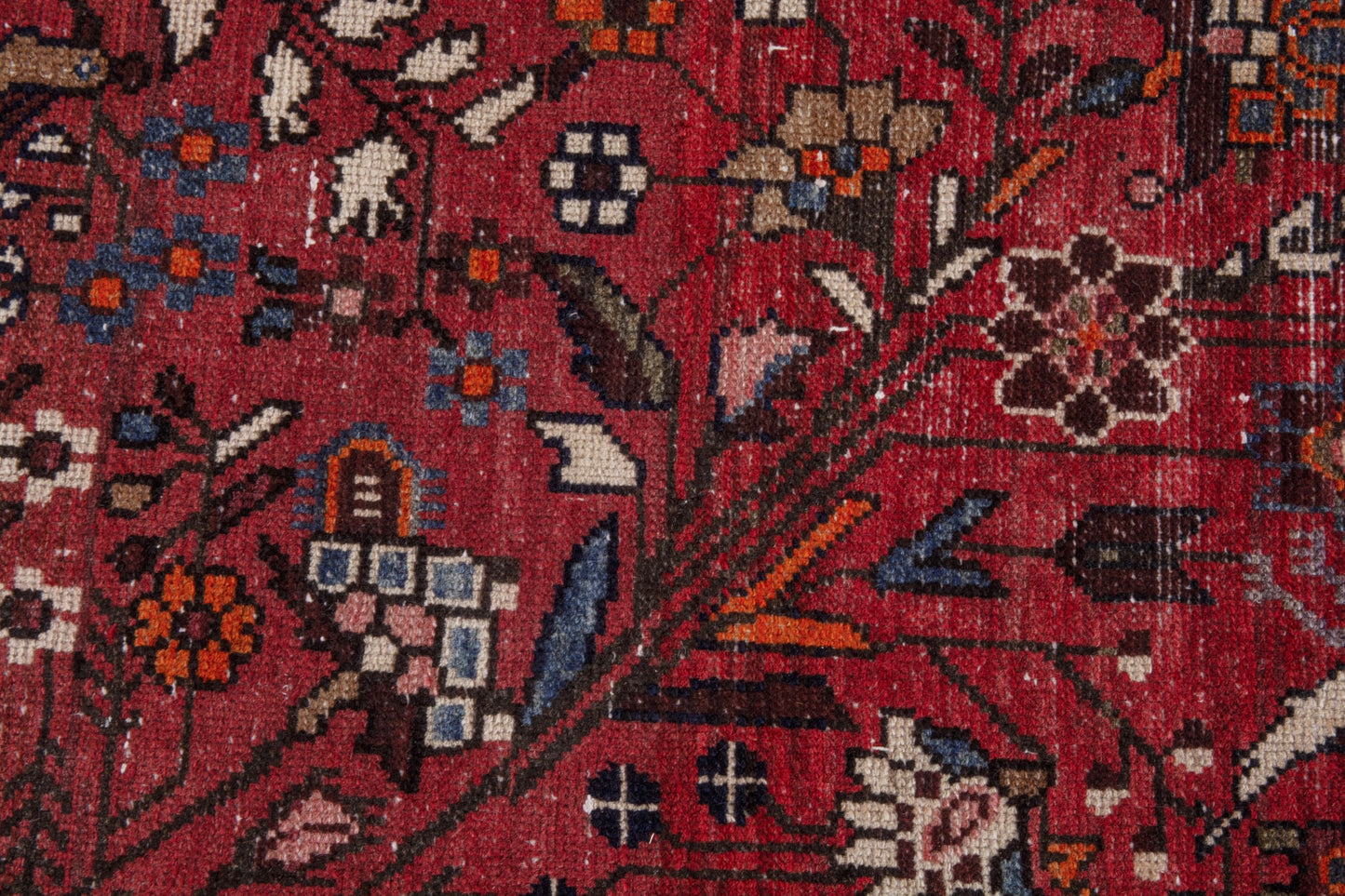 CAN_4075 - 3'7" x 9'10"
