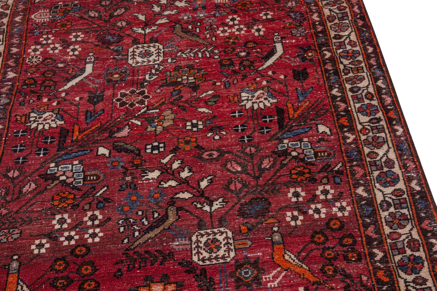 CAN_4075 - 3'7" x 9'10"