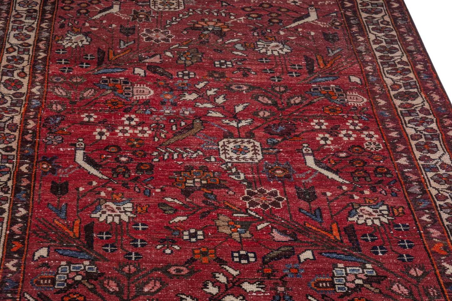 CAN_4075 - 3'7" x 9'10"