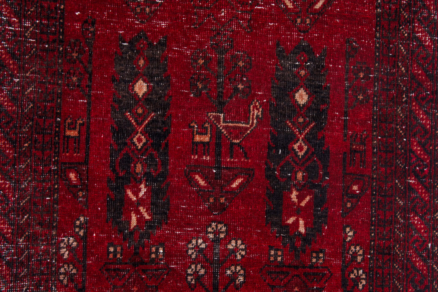 CAN_4076 - 2'3" x 12'