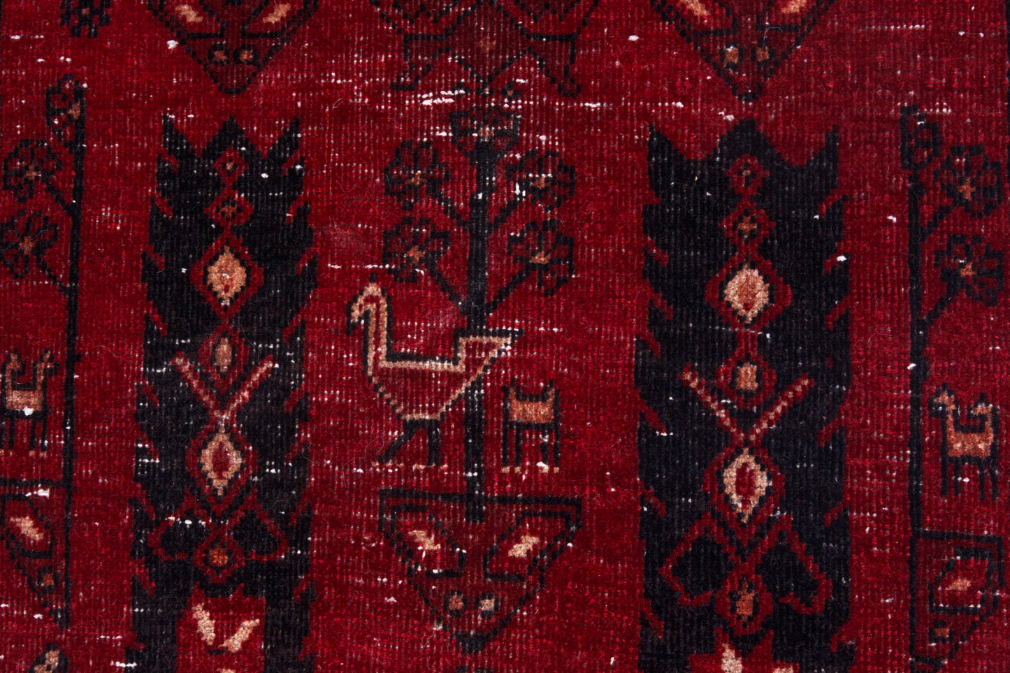CAN_4076 - 2'3" x 12'