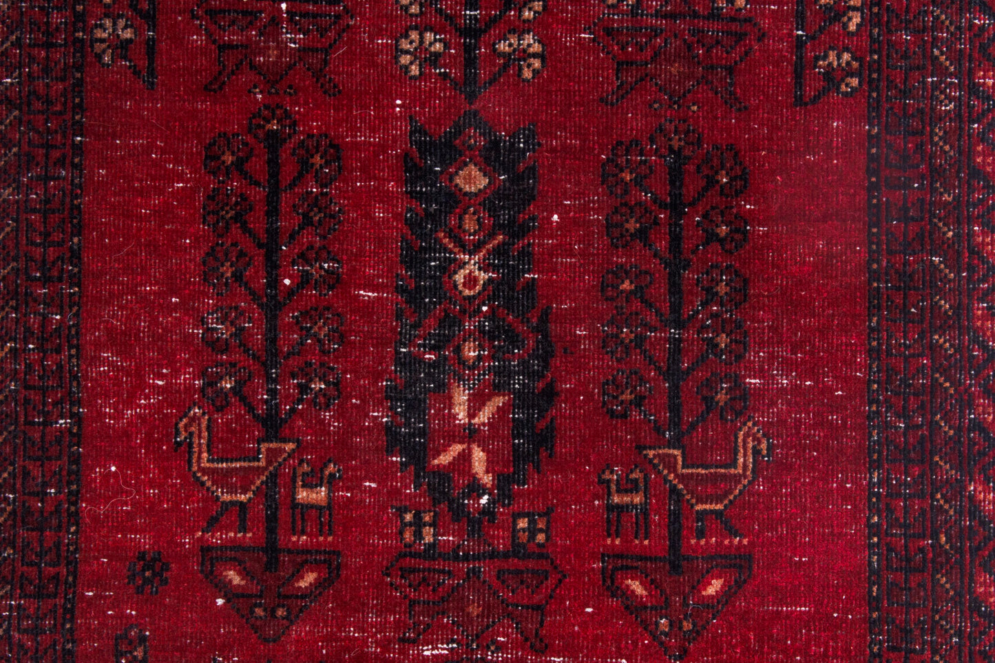 CAN_4076 - 2'3" x 12'