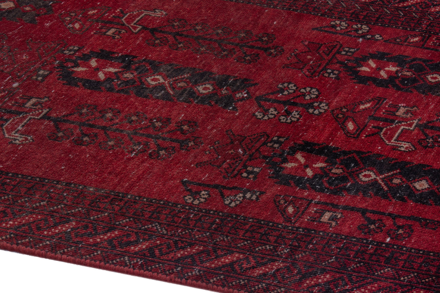 CAN_4076 - 2'3" x 12'