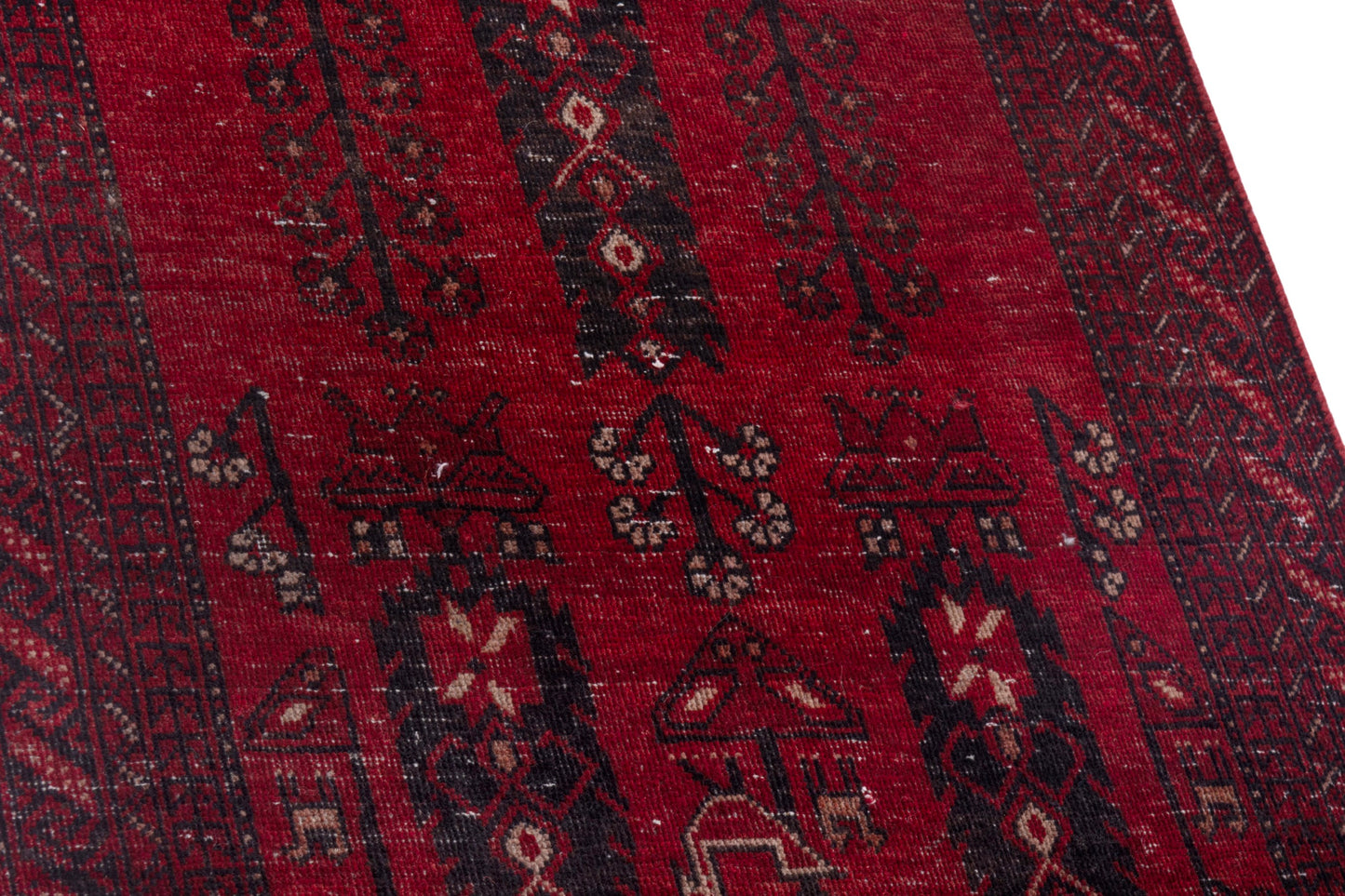 CAN_4076 - 2'3" x 12'