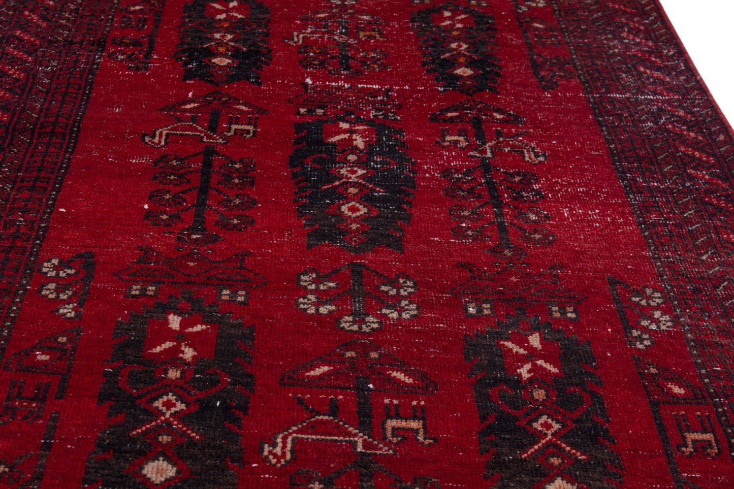 CAN_4076 - 2'3" x 12'
