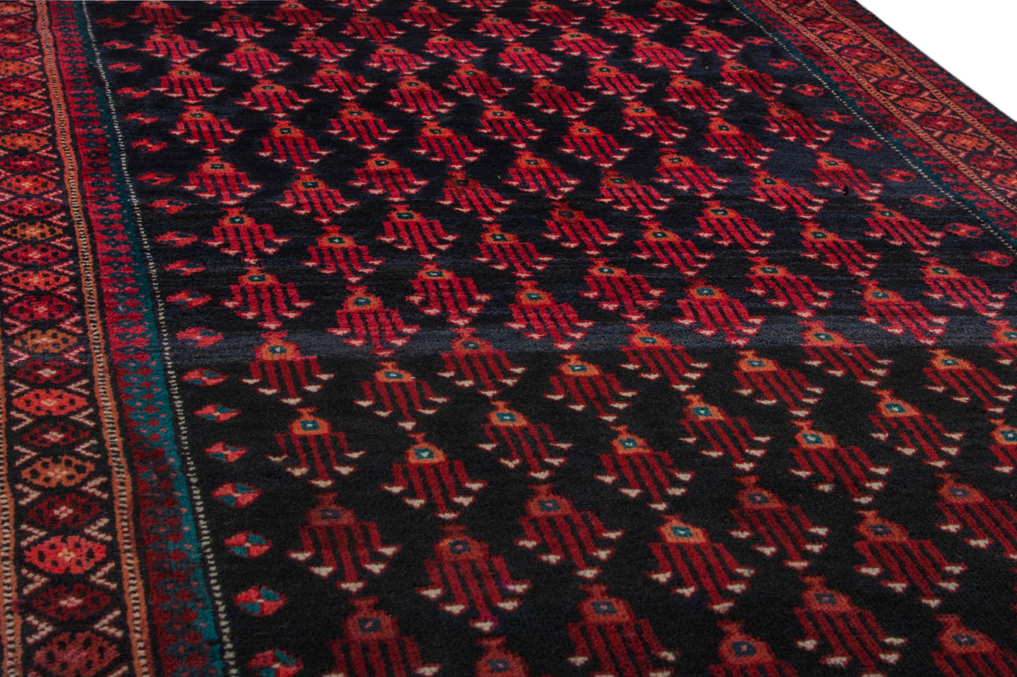 CAN_4077 - 2'11" x 9'